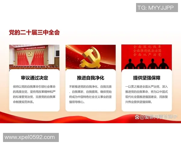 球员成长与竞技精神的全方位解析：从训练到比赛的全面探讨