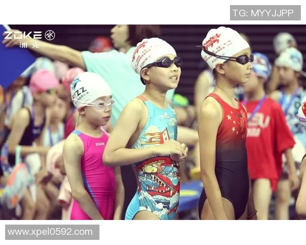 科学高效的游泳训练计划打造强健体魄与提高技术水平