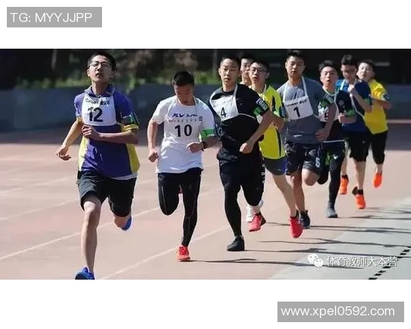 系统化游泳训练计划提升技巧与耐力全面指南