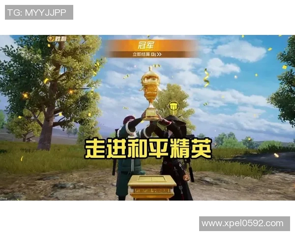 专访王敏揭秘和平精英成功背后的策略与创新之路